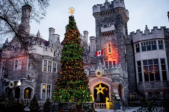 Что посетить в Торонто на этой неделе? Афиша 5 декабря – 11 декабря