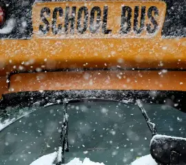 В некоторых регионах GTHA отменяют школьные автобусы из-за непогоды