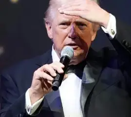 Мебельная промышленность Канады борется с последствиями американских пошлин