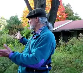 Житель Миссиссаги выиграл суд против города из-за запрета на высокую траву