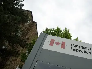 Агентство по инспекции продовольствия Канады сократит более 1,300 рабочих мест: профсоюз