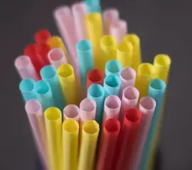 Оттава выиграла апелляцию: запрет на одноразовый пластик сохранён