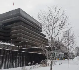 МИД подтвердил смерть гражданки Канады в Японии