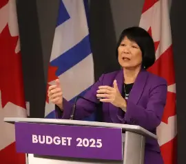 Чоу предлагает облегчить налоговую нагрузку малым предприятиям в новом бюджете