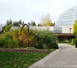 Butterfly Conservatory в Ниагара-Фолс вновь откроется после шестинедельной паузы