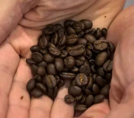 Рынок кофе в Канаде может увидеть снижение цен в ближайшие месяцы: экономист