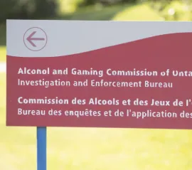 Азартные игры среди молодежи: обращения на ConnexOntario бьют рекорды