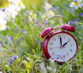 Перевод на летнее время: когда это произойдет в Онтарио?