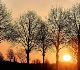 Перевод часов: для одних канадцев признак смены сезонов, для других — лишняя проблема