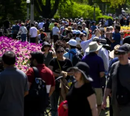 Снижение темпов роста населения отражается на экономике Канады