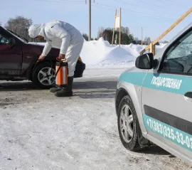 Сибирские фермеры продолжают протестовать против забоя домашнего скота. Пользователи инстаграма их возмущение горячо поддерживают — и превращают его в борьбу за свободу интернета