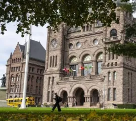 Онтарио взыскало менее 10% средств с владельцев животных, обвиняемых в жестоком обращении