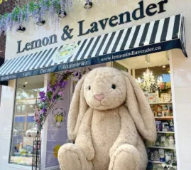 Предпринимательница из Торонто потеряла почти $4,000 из-за мошеннических возвратов по банковским картам