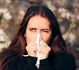 Виндзор возглавил список худших городов Канады для аллергиков