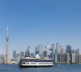 Дискуссия об электрических паромах в Торонто приняла неожиданный оборот из-за странных заявлений о «радиации»