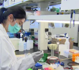 Индустрия наук о жизни может стать ключевым для экономики Брамптона. Что для этого необходимо?