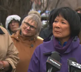 Мэр Торонто выступила против изъятия части парка ради расширения аэропорта