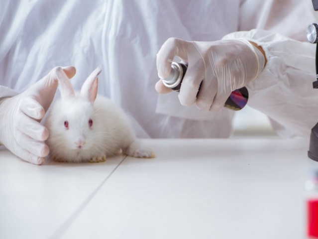 Вскоре Канада может запретить испытания токсичных химикатов на животных 