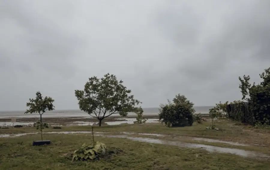 Этот день два года назад