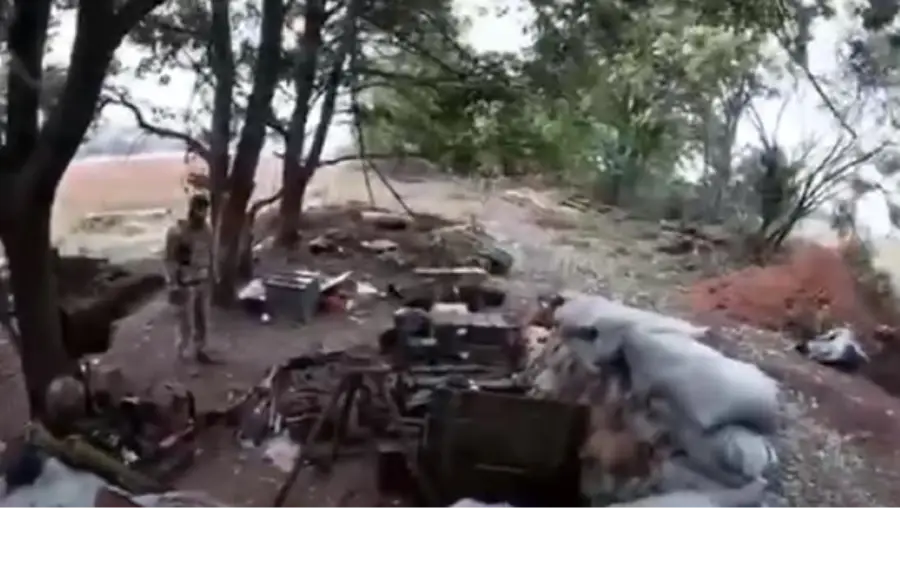 Криминал сша