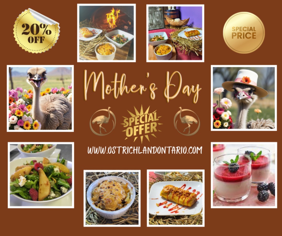 Celebrate Mother’s Day at Ostrich Land Farm!