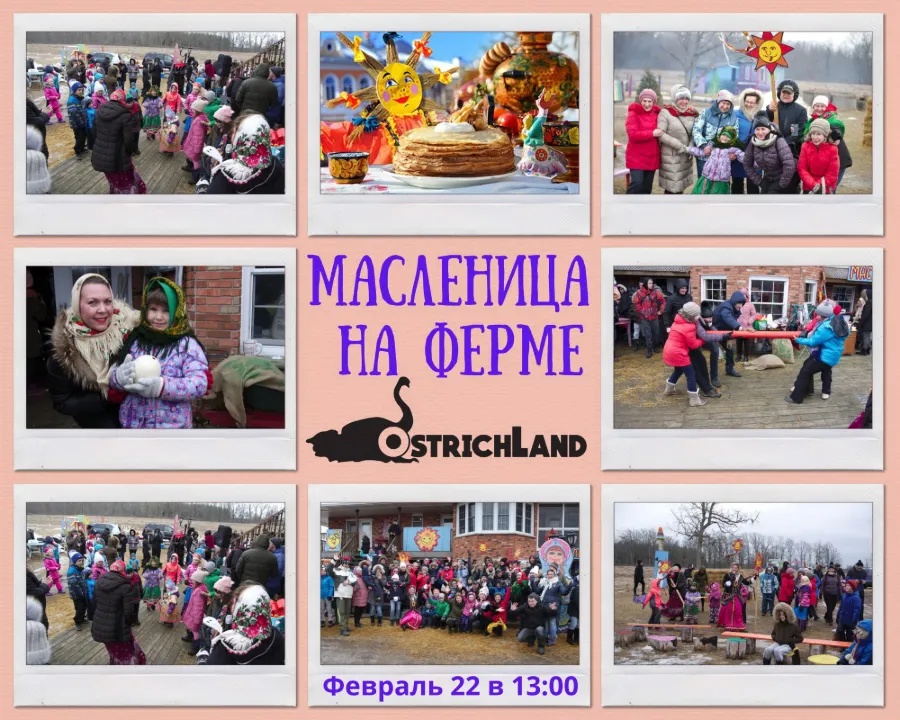 Широкая Масленица на Ostrich Land Ontario Farm