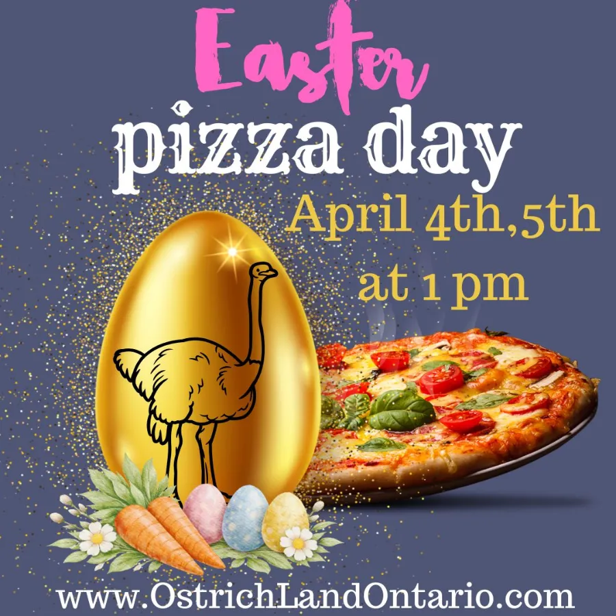 Celebrate Easterpizza Day at Ostrich Land! 