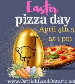 Celebrate Easterpizza Day at Ostrich Land!