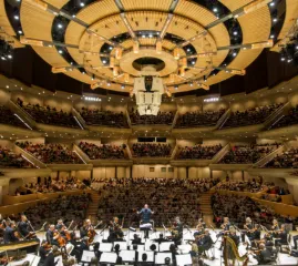 Что посетить в Торонто на этой неделе? Афиша событий 27 сентября – 3 октября