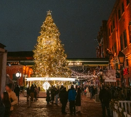 Что посетить в Торонто на этой неделе? Афиша 28 ноября – 4 декабря