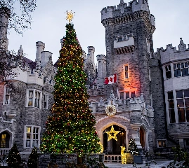 Что посетить в Торонто на этой неделе? Афиша 5 декабря – 11 декабря