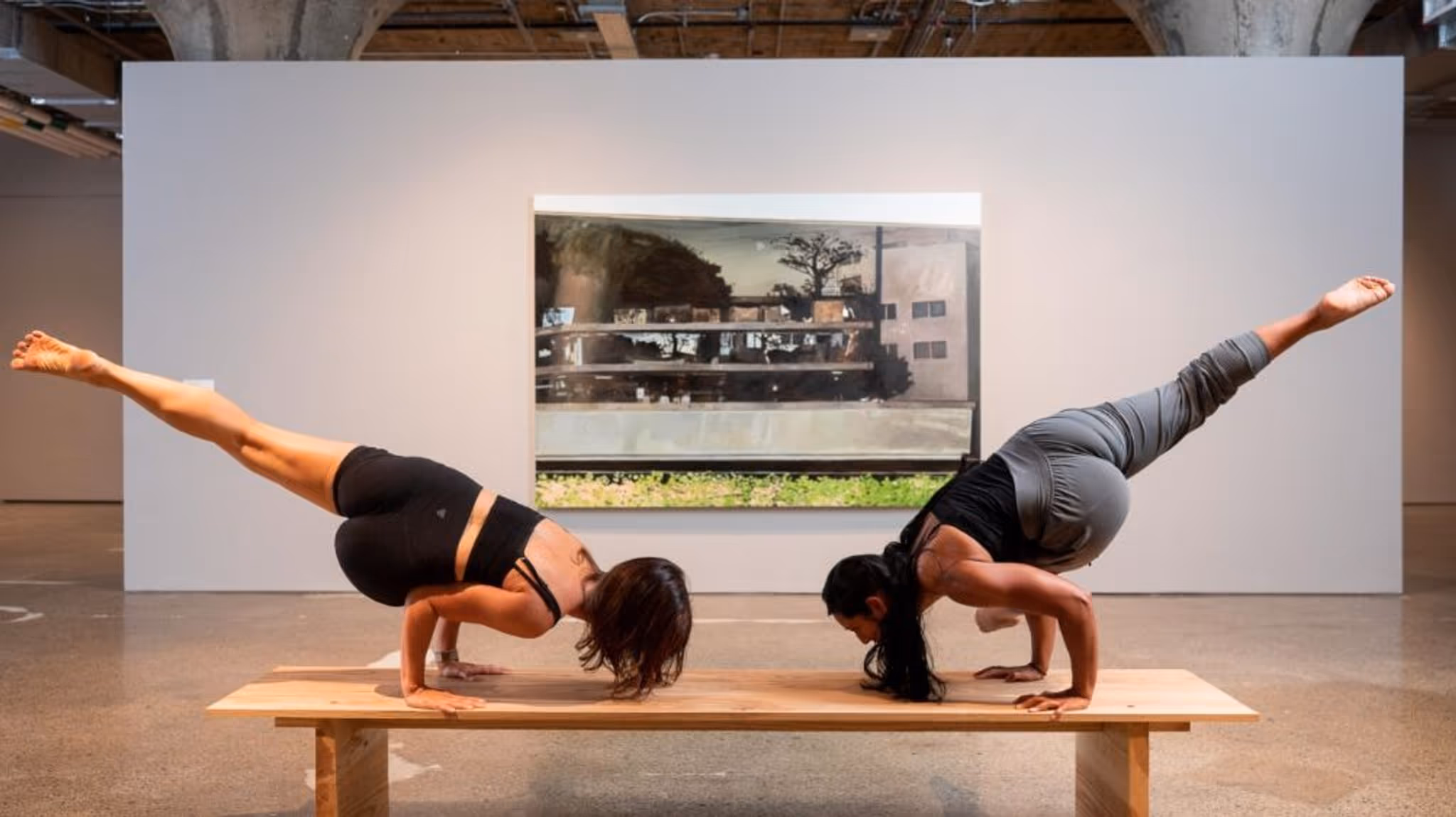 Что посетить в Торонто на этой неделе? Афиша 23 – 29 января