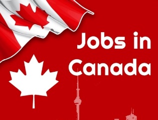 Best Job Offers in Toronto
