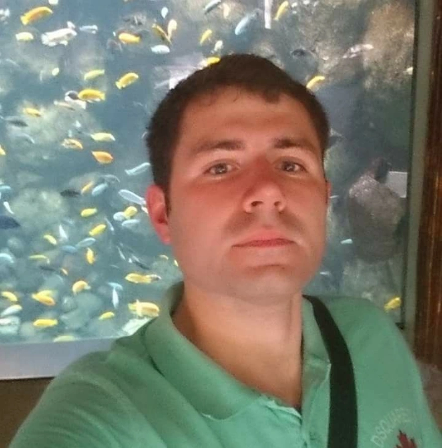 Обучение английскому языку для всех