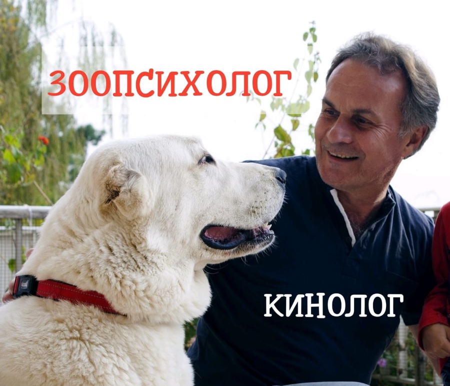 Зоопсихолог (высшее образование), Аnimal Behaviorist, Dog Trainer, дрессировщик. Опыт работы 48 лет.