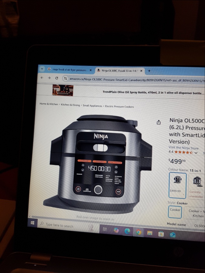 Ninja ol500  foodi 13-in-1-6,5 qt
