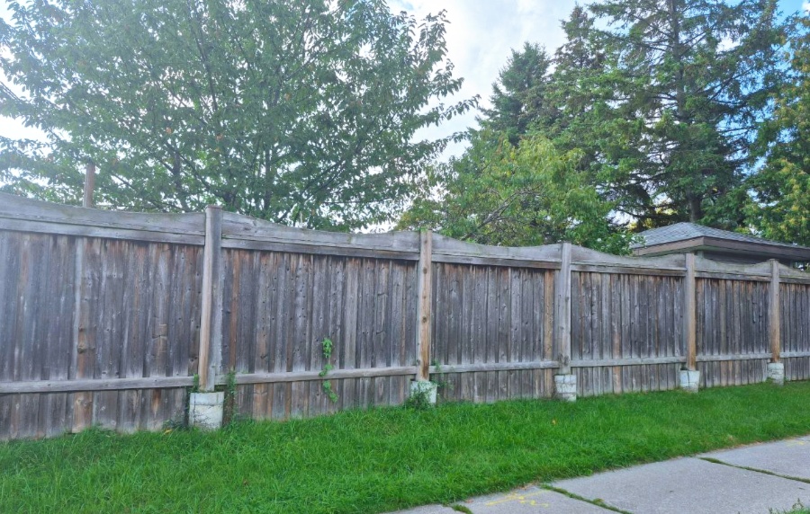 Deck and Fences