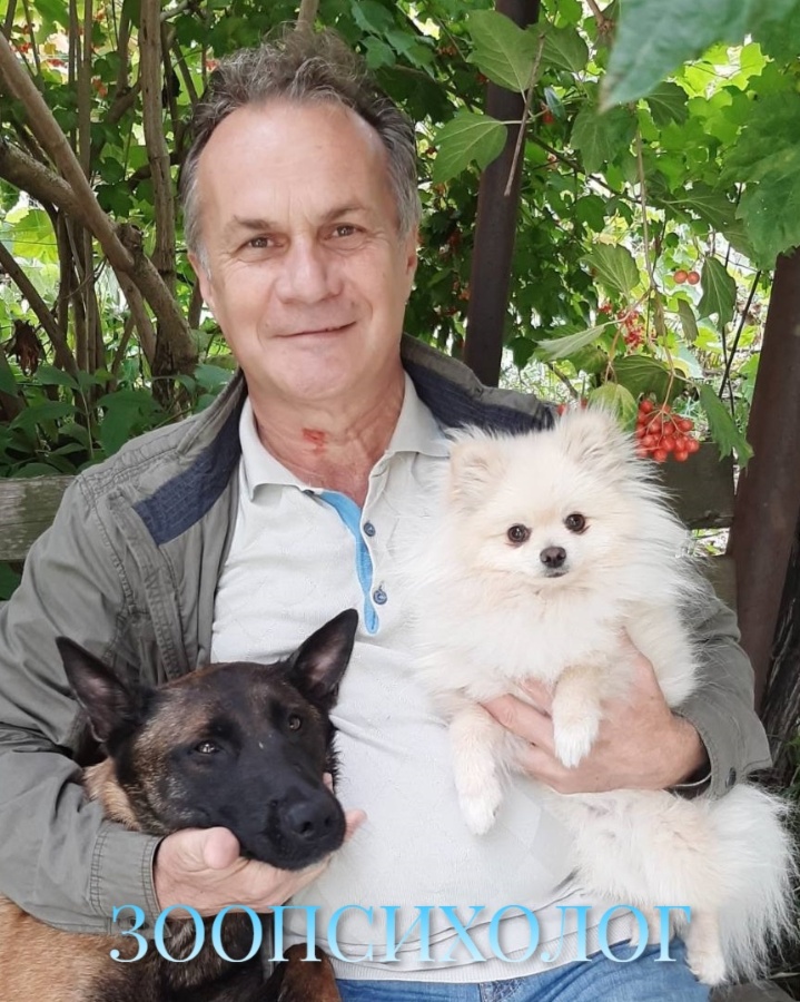Зоопсихолог (высшее образование), Аnimal Behaviorist, Dog Trainer, дрессировщик. Опыт работы 49 лет.