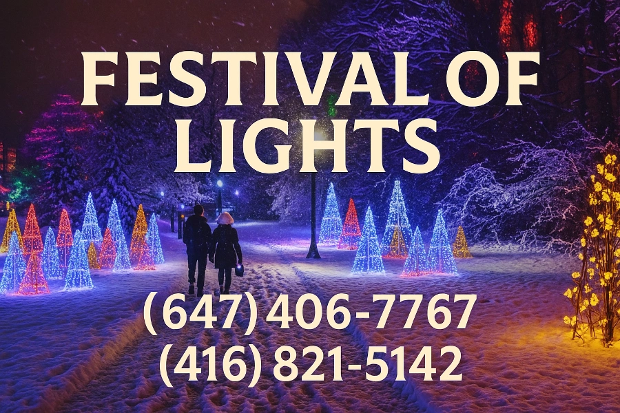 Поездка на Фестиваль огней на Ниагарском водопаде