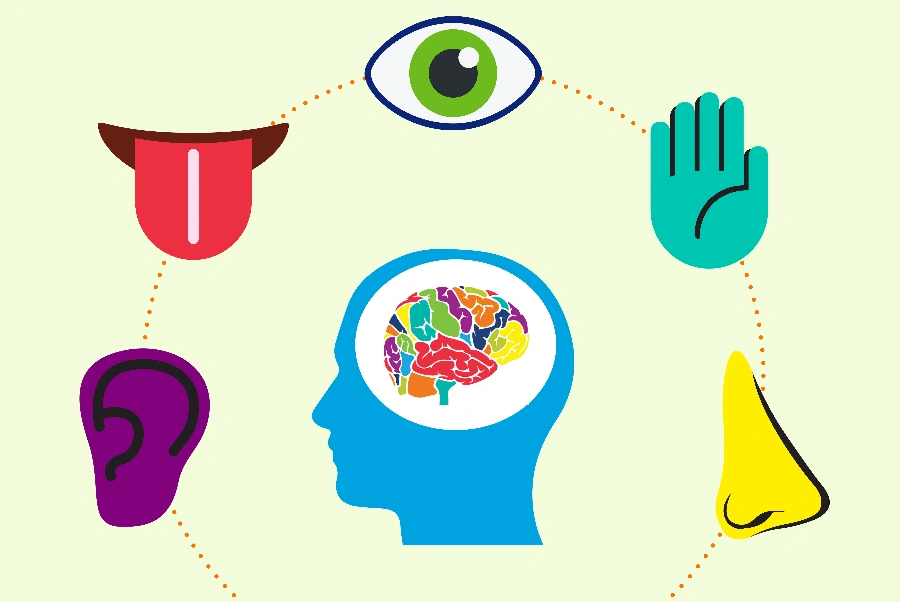 ЗАНЯТИЯ по запуску речи и раннему развитию детей от 1,5 лет