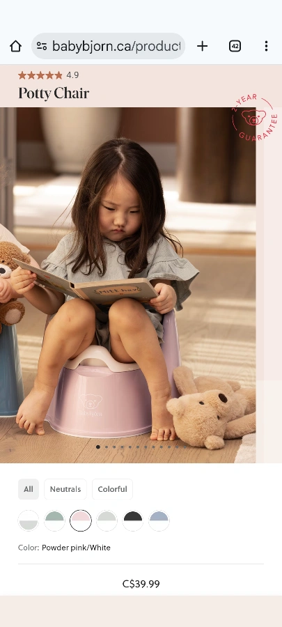 Baby Bjorn Potty Chair