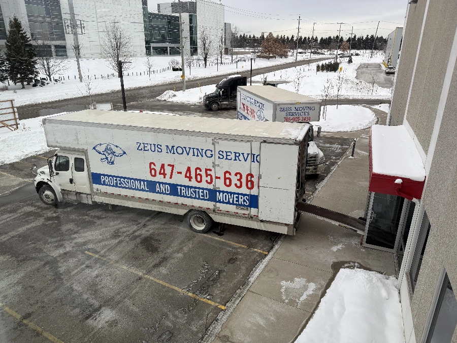 Требуется водитель грузчик с опытом работы в мувинг компании