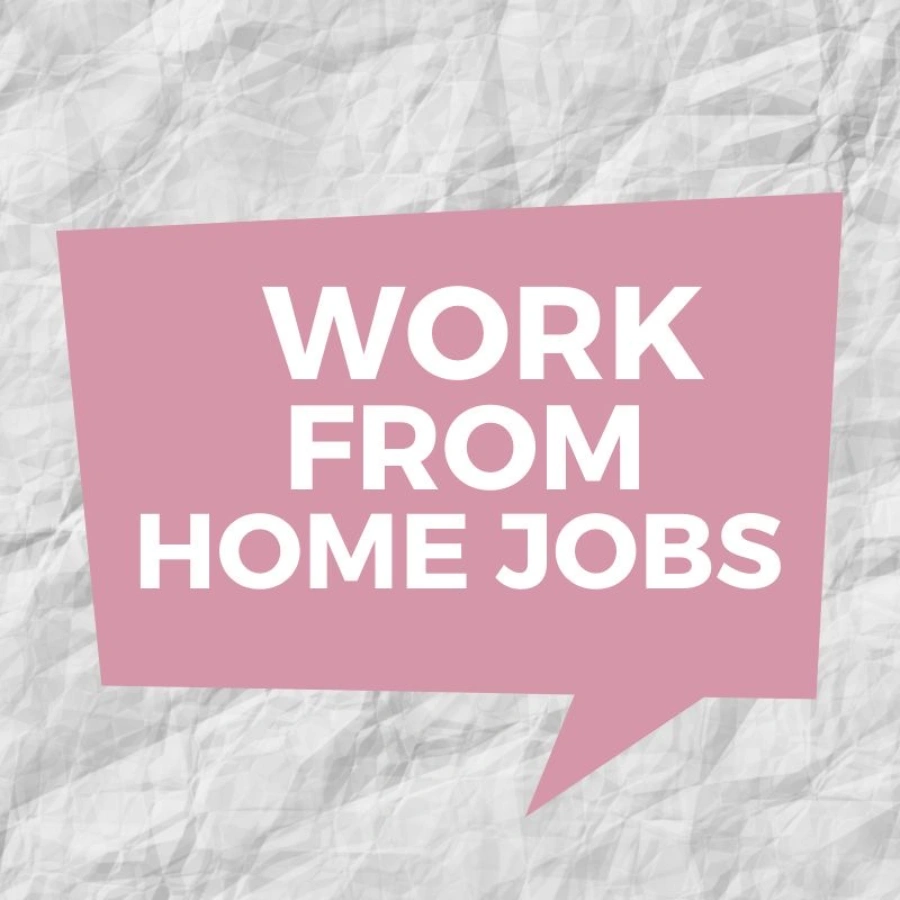 Remote Customer Service / Data Entry Specialist