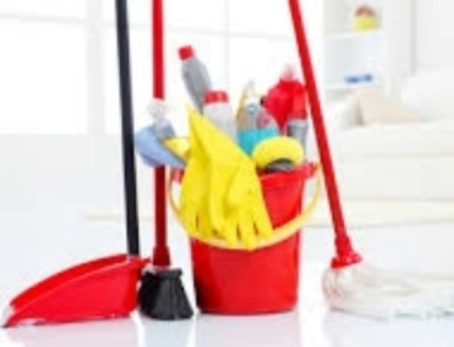 Green Cleaning Service