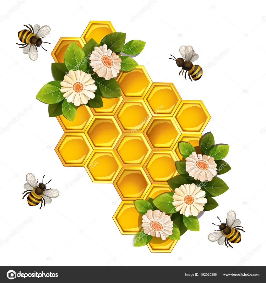 Панацея от всех болезней