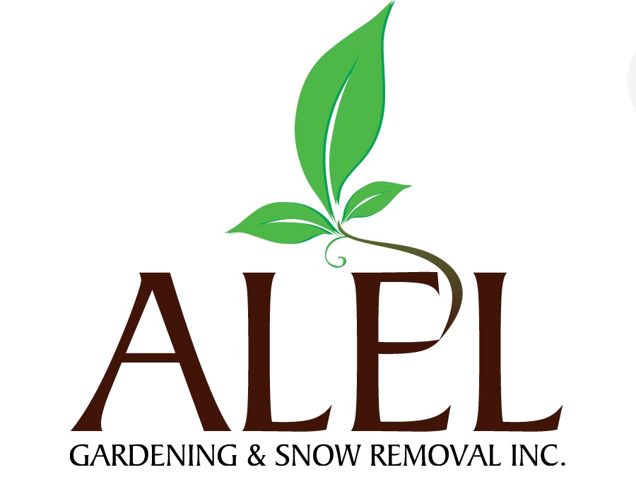 * * Alel Gandening & Snow Removal Inc.