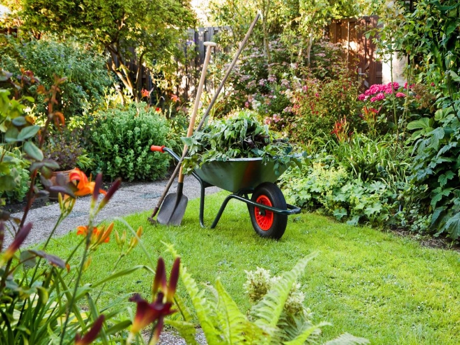 Всё вокруг дома & Full landscaping & Cleaning service