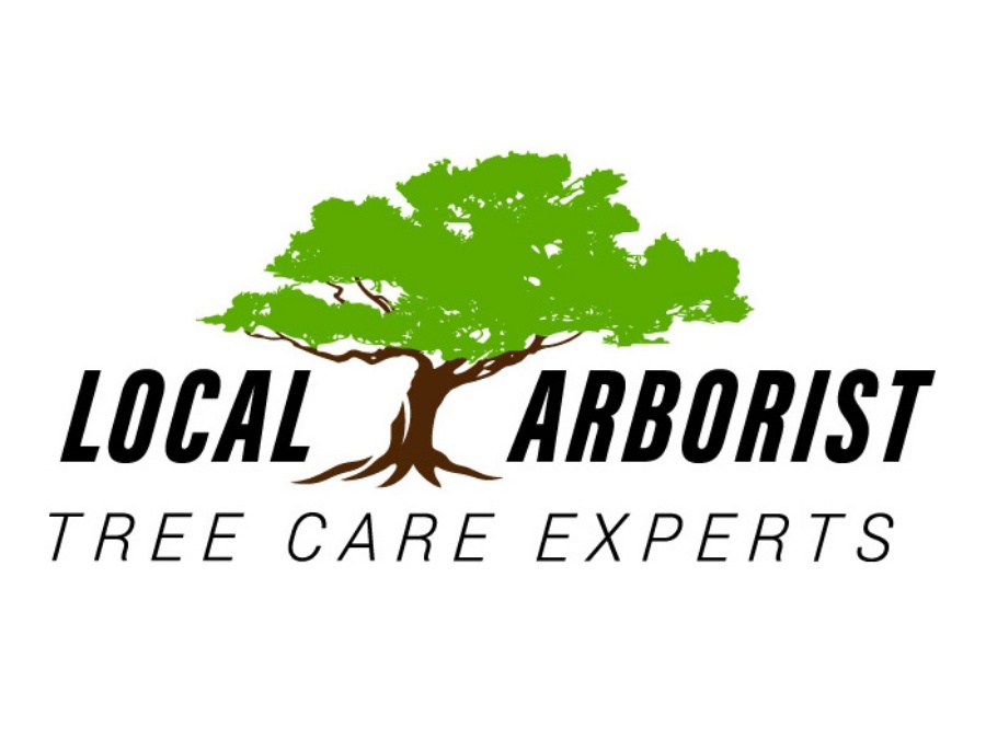 Local Arborist — Tree Services in Toronto