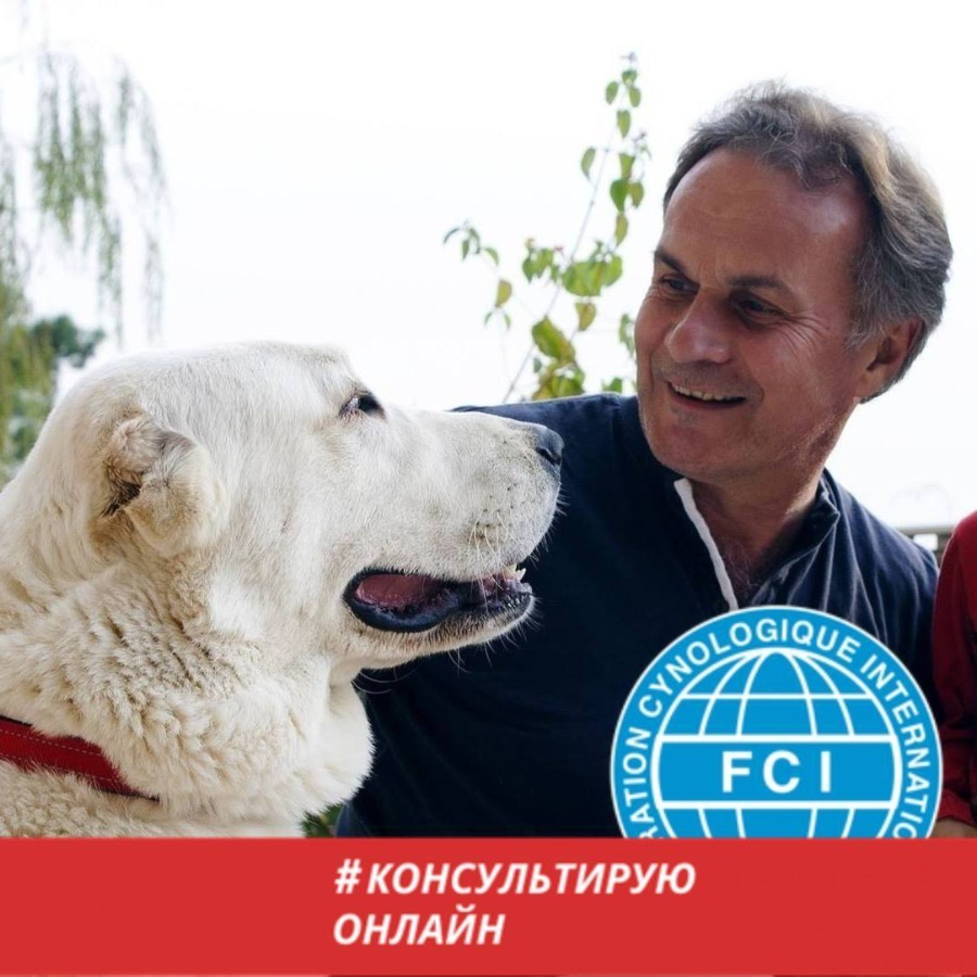 Зоопсихолог (высшее образование), Аnimal Behaviorist, Dog Trainer, дрессировщик. Опыт работы 48 лет.